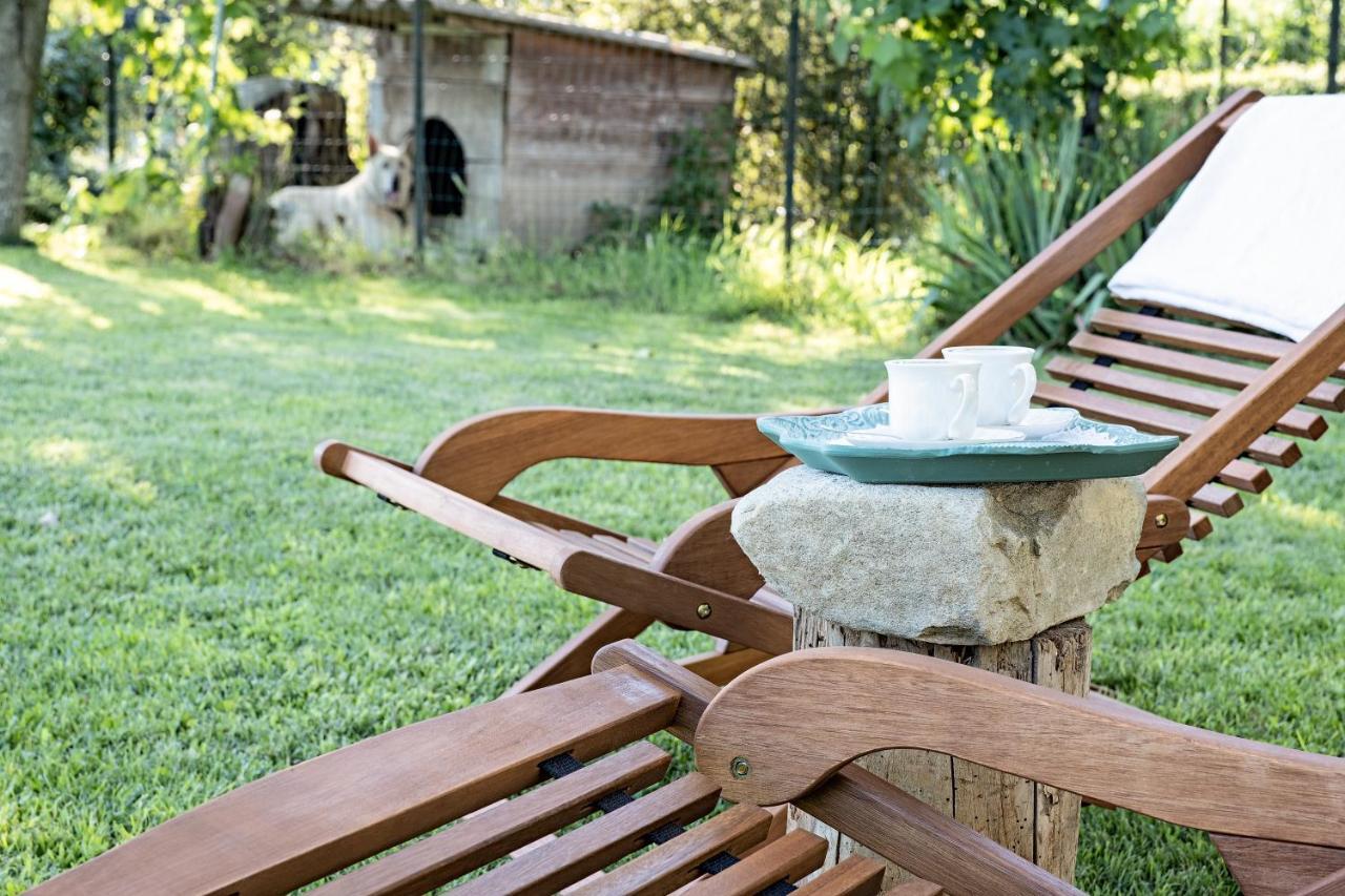 Villa Curte Nicia นิซซา มอนแฟร์ราโต ภายนอก รูปภาพ